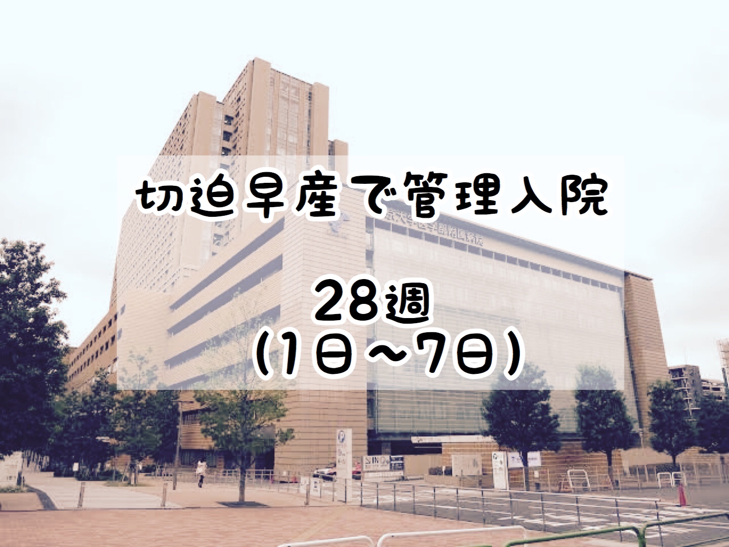 【双子妊娠レポート】切迫早産で管理入院〜28週〜