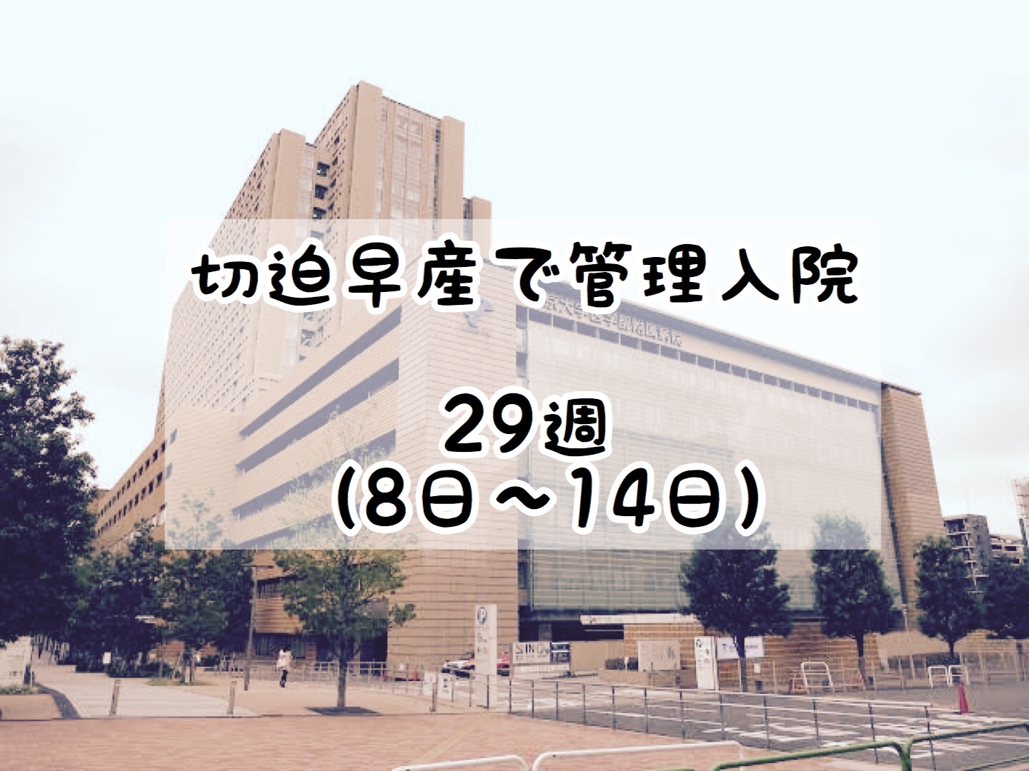 【双子妊娠レポート】切迫早産で管理入院〜29週〜